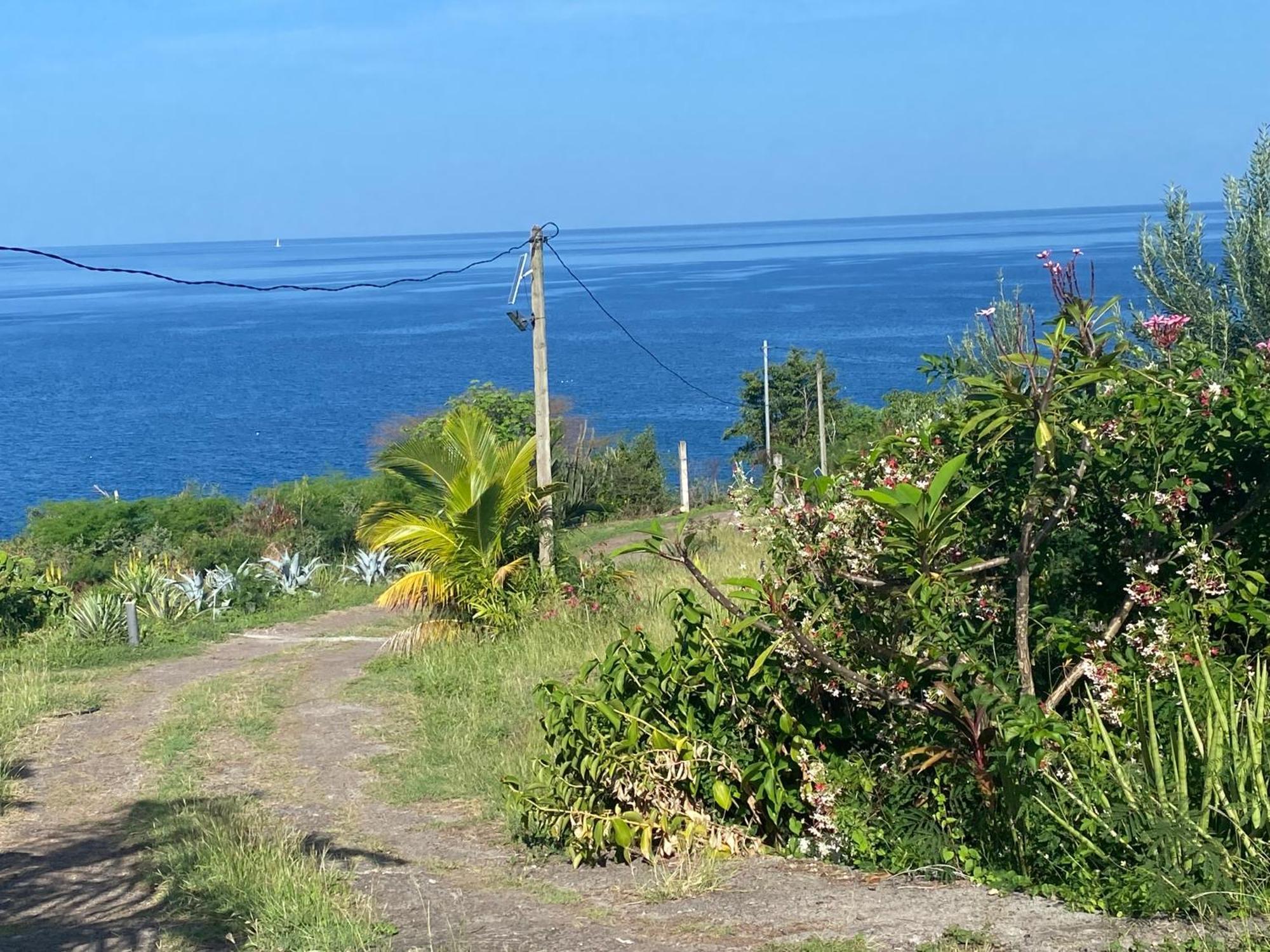 Bungalows Mathilde-Non Fumeur Bouillante Dış mekan fotoğraf