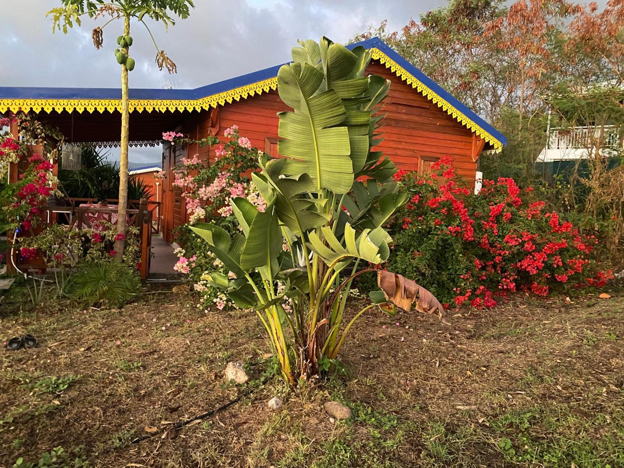 Bungalows Mathilde-Non Fumeur Bouillante Dış mekan fotoğraf