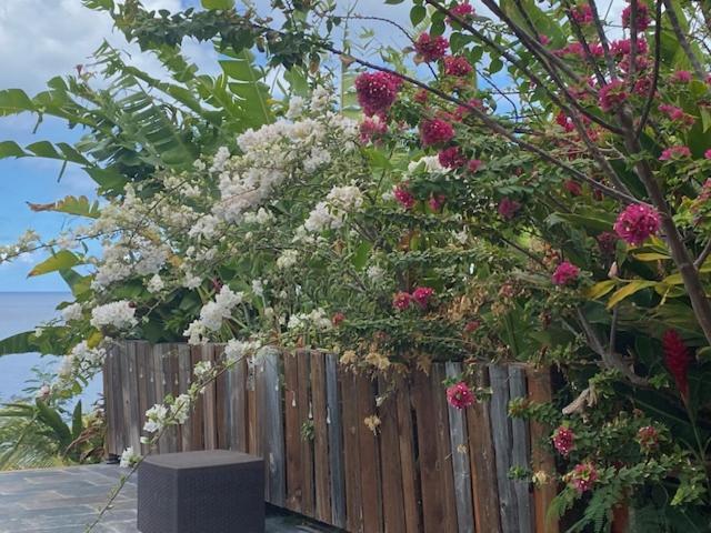 Bungalows Mathilde-Non Fumeur Bouillante Dış mekan fotoğraf